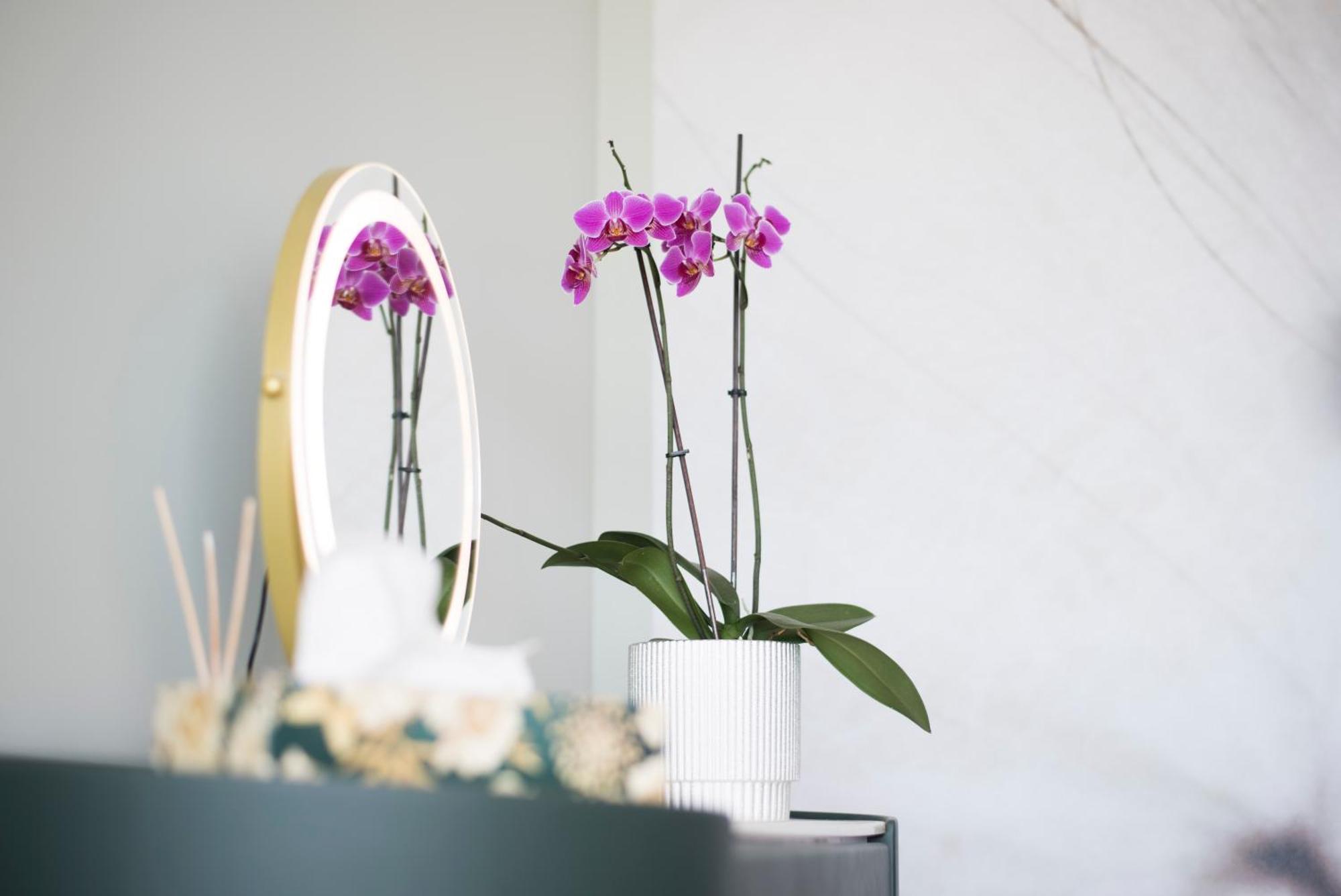 Horizont Apartman Alsóörs エクステリア 写真